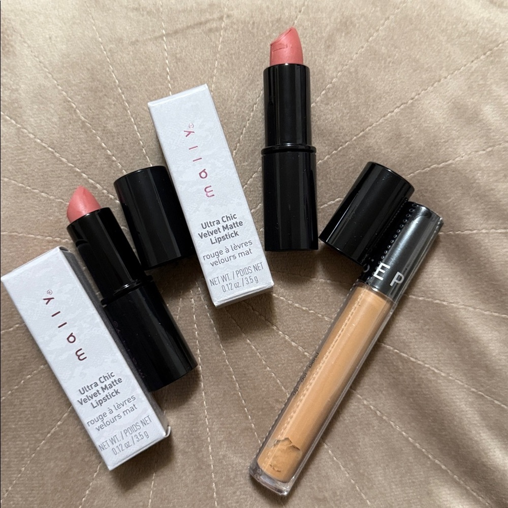 Sephora Bright Future Concealer& Mally Ultra Chic Velvet Matte Lipstick in Blush
